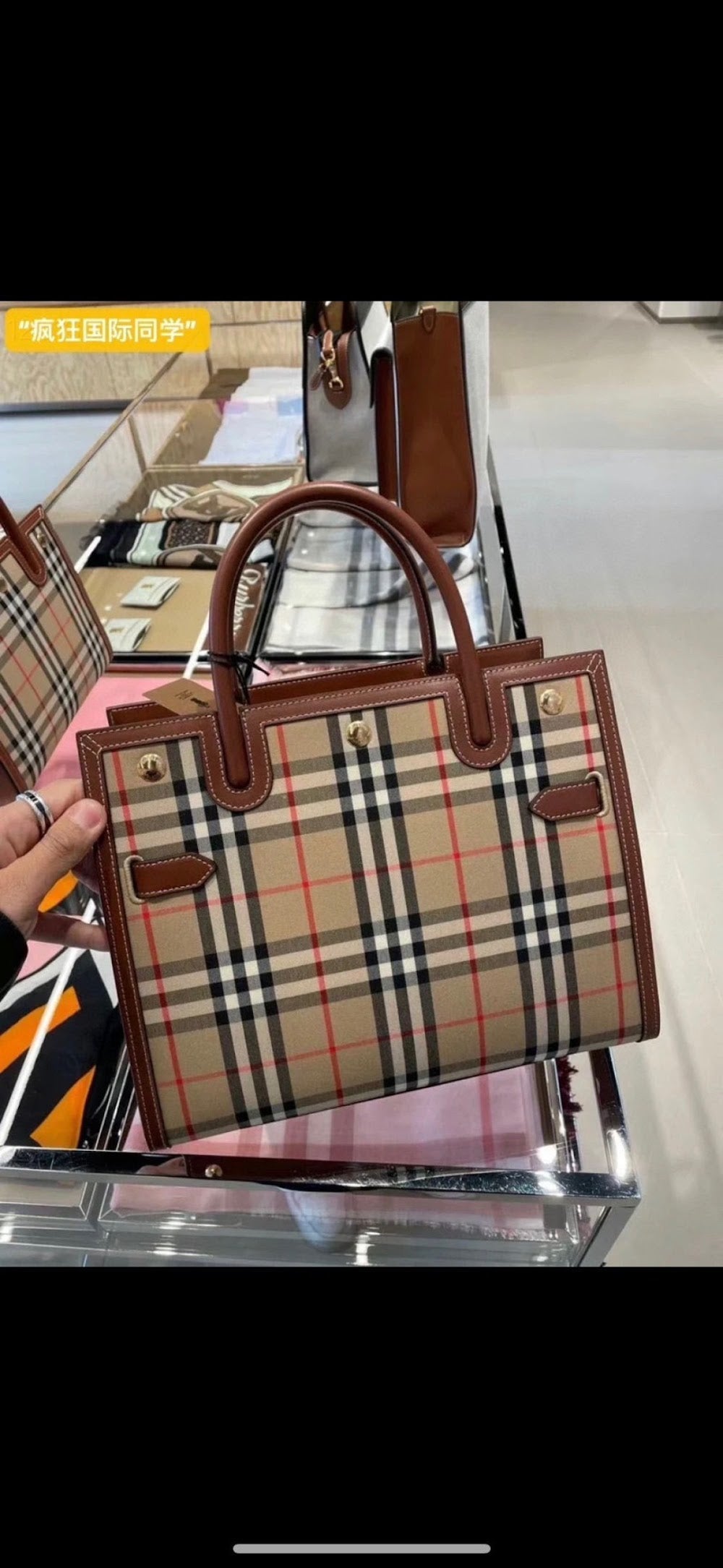 Anum Bags Burberryn Luxury Bag --92653