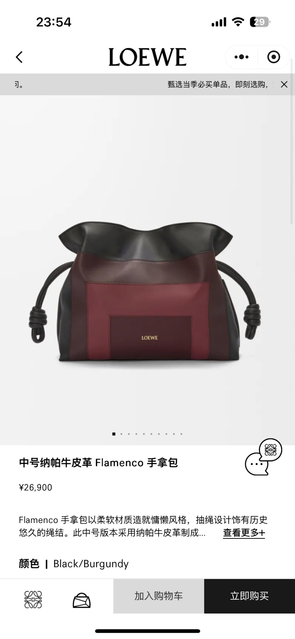 Anum Bags Lowen Luxury Bag --99993