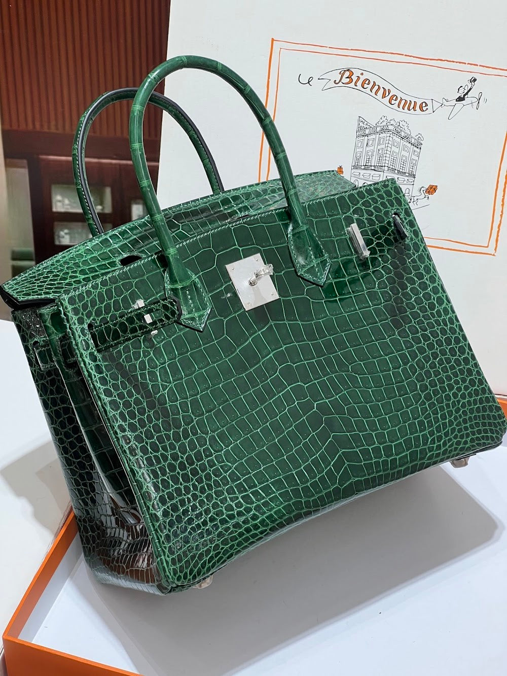 Anum Bags Hermesn Luxury Bag --117152