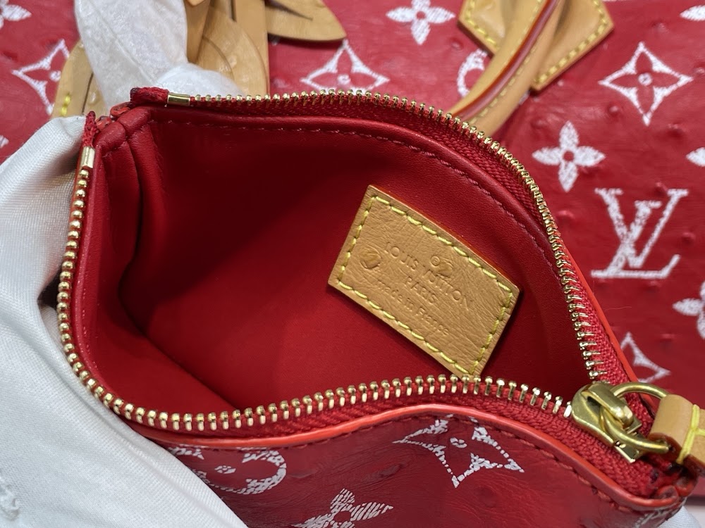 Anum Bags ln Luxury Bag --95544