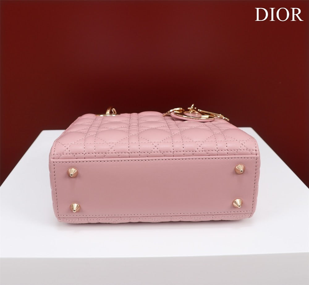 Anum Bags Diorn Luxury Bag --115915