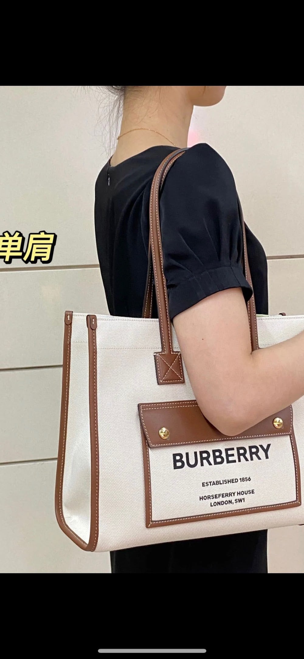 Anum Bags Burberryn Luxury Bag --92716