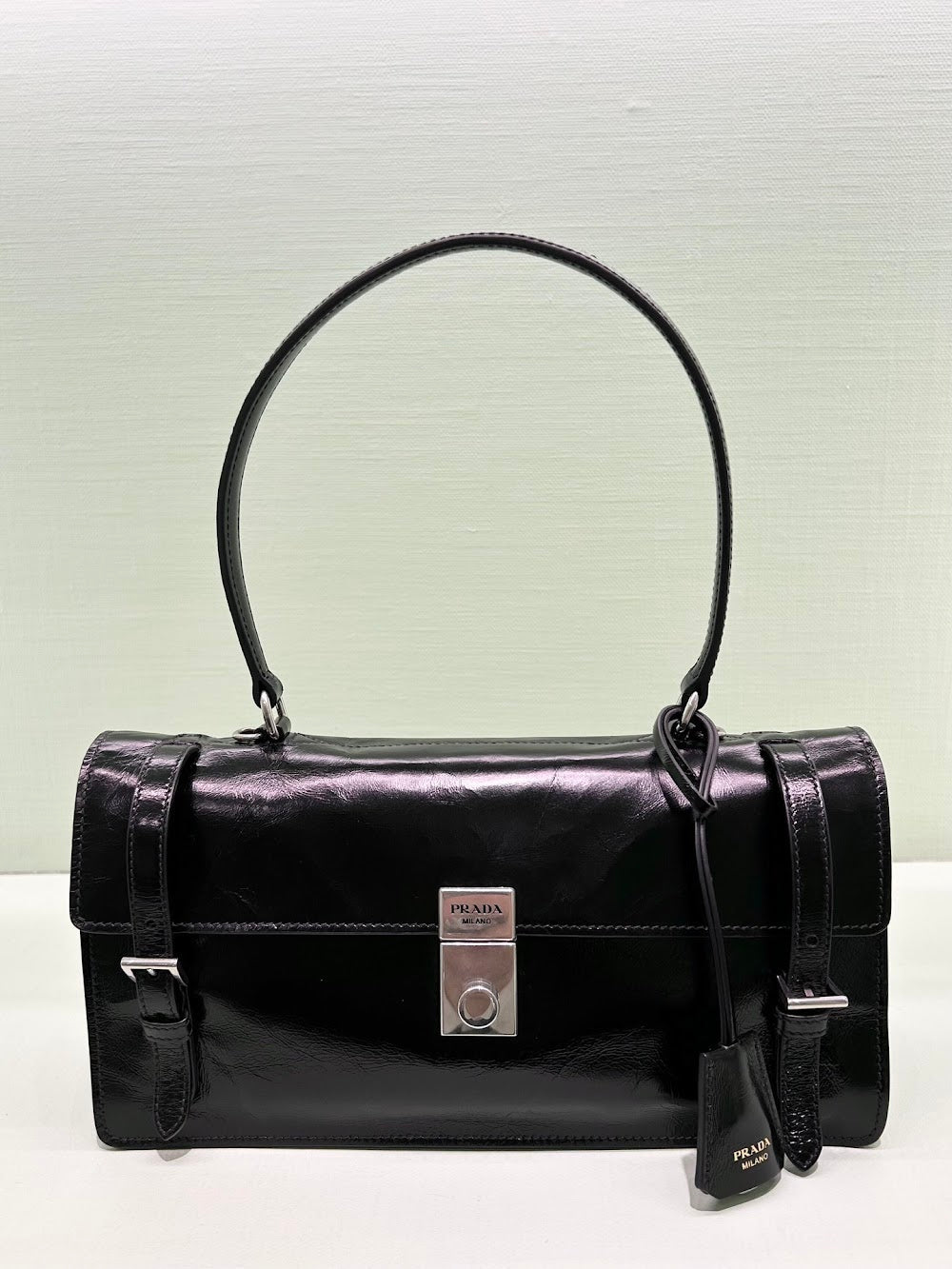 Anum Bags Pradn Luxury Bag --102588