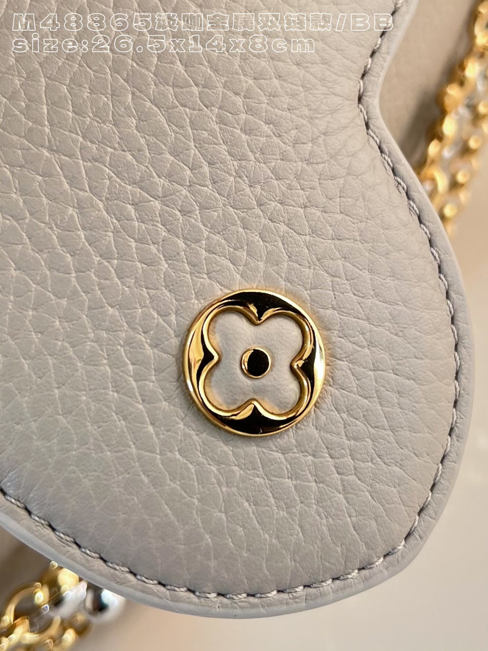 Anum Bags ln Luxury Bag --95849