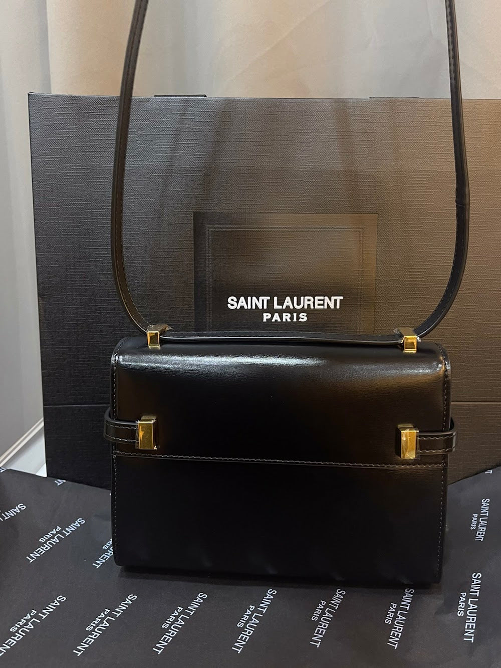 Anum Bags YSLn Luxury Bag --119845