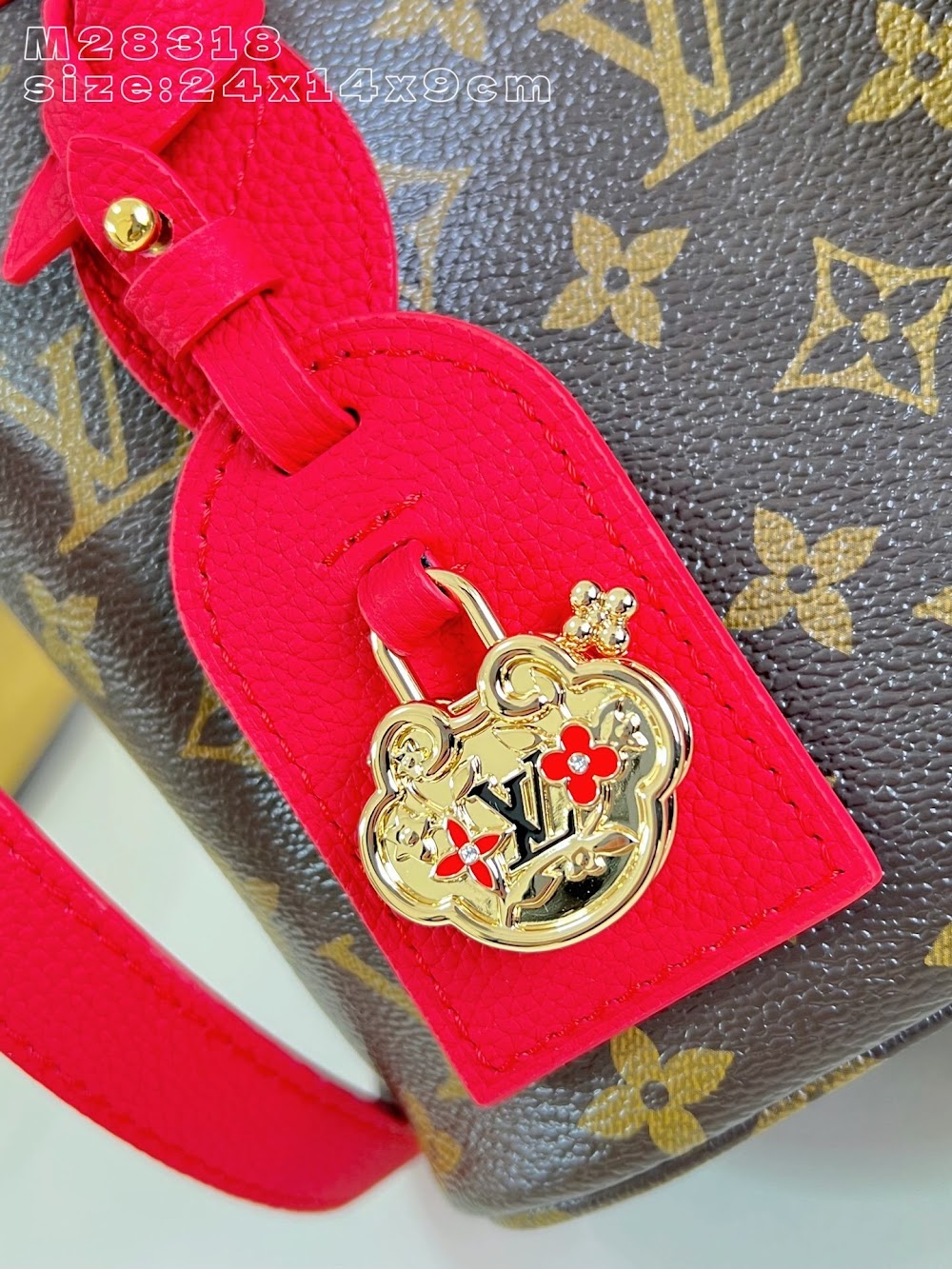 Anum Bags ln Luxury Bag --96081