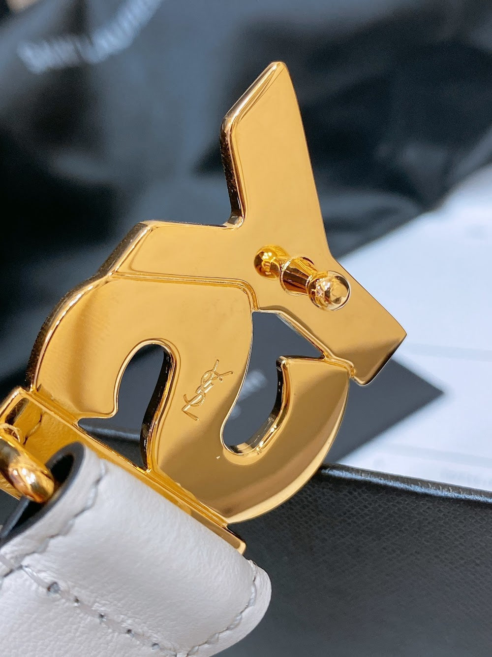Anum Bags YSLn Luxury Belt --107623