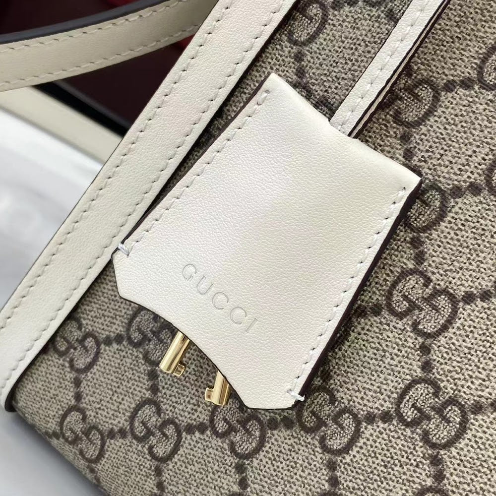 Anum Bags Guccin Luxury Bag --94433