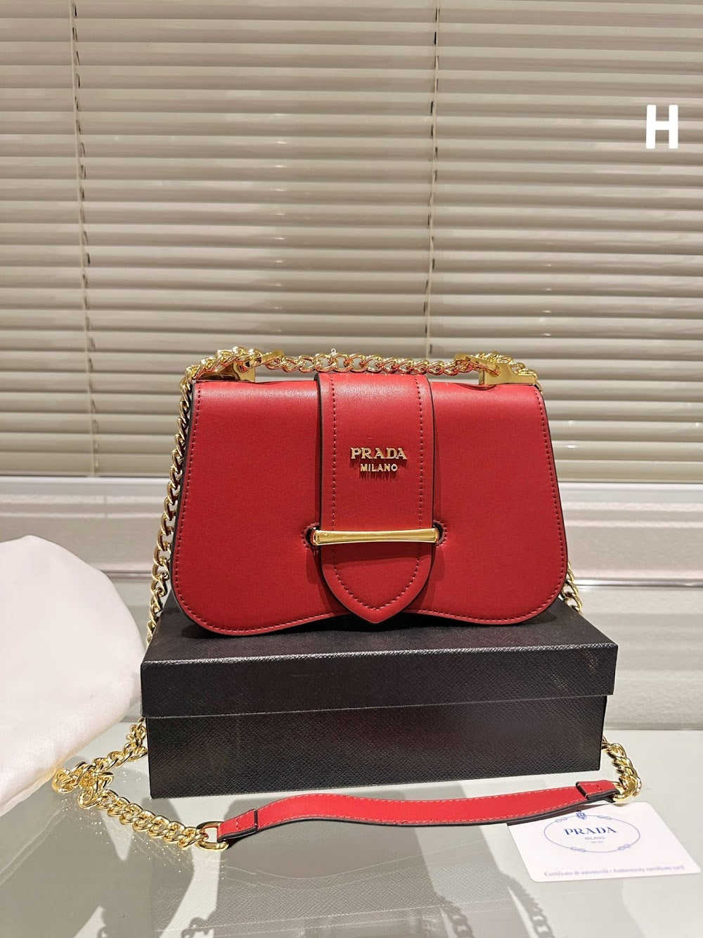 Anum Bags pradn Luxury Bag --73049