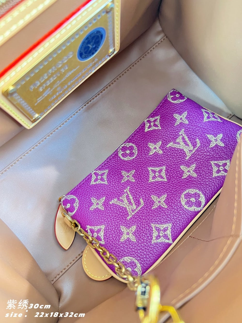 Anum Bags ln Luxury Bag --95980