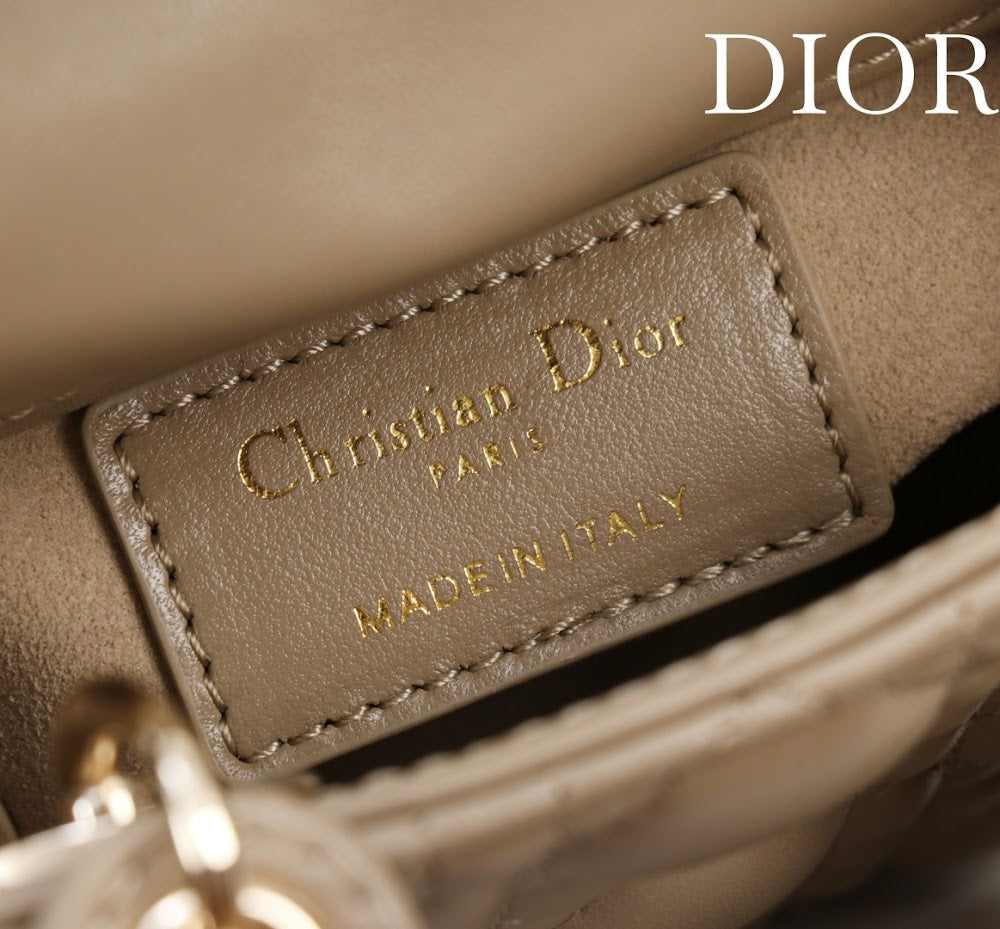 Anum Bags Diorn Luxury Bag --116372