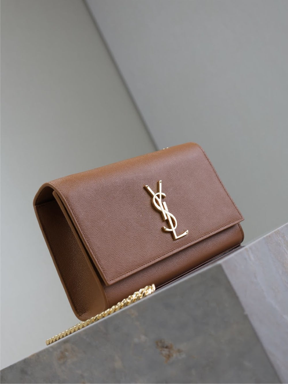 Anum Bags YSLn Luxury Bag --120534