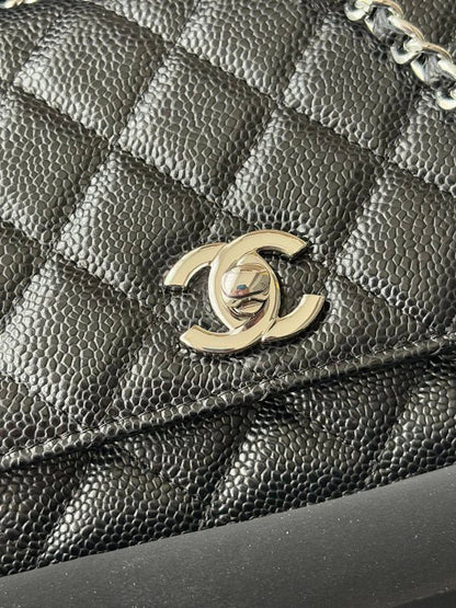 new-elite-designer-bags-nm20135
