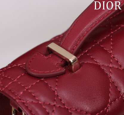 Anum Bags Diorn Luxury Bag --116287