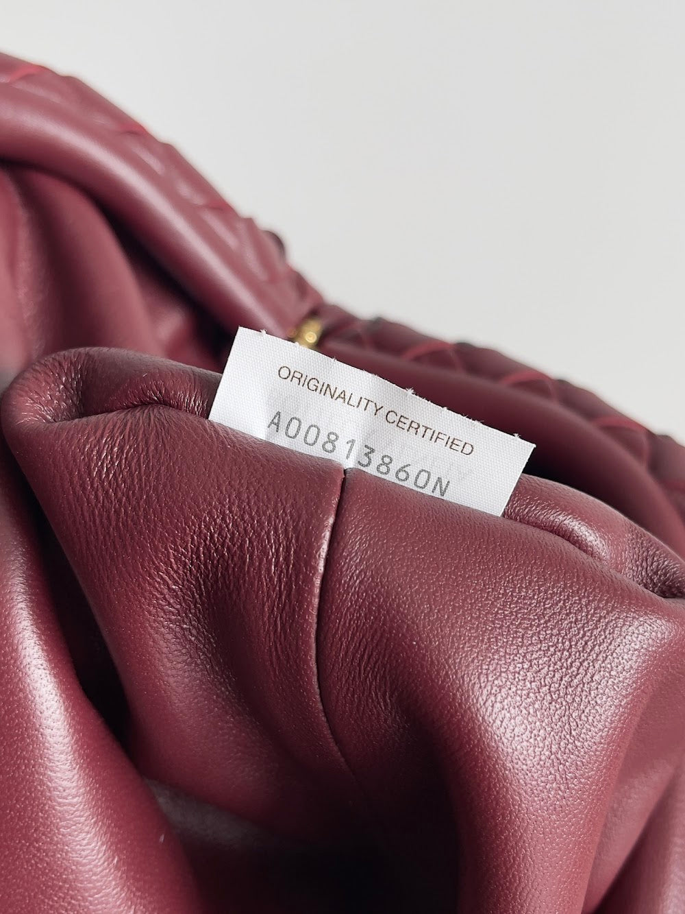 Anum Bags Bottegan Luxury Bag --91273