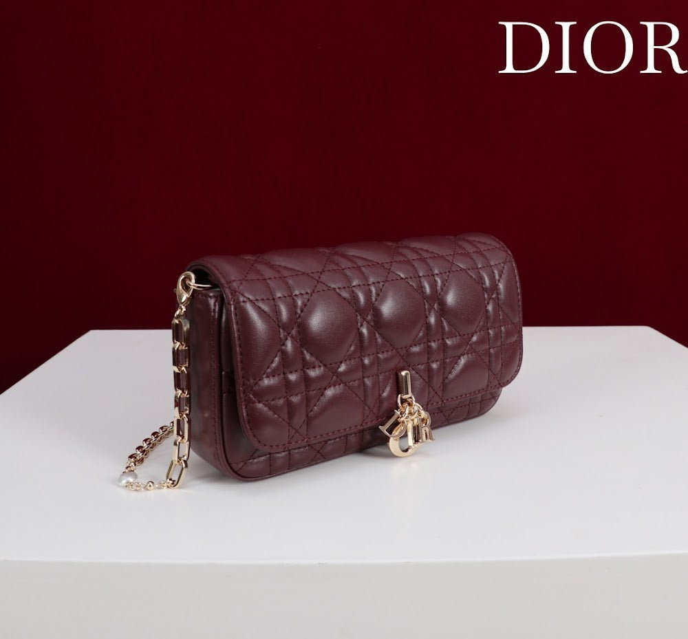 Anum Bags Diorn Luxury Bag --116358