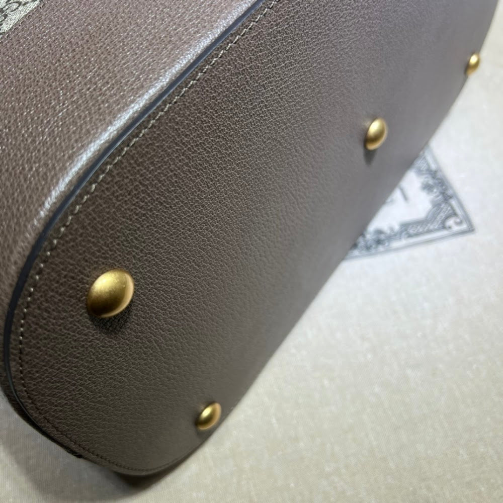 Anum Bags Guccin Luxury Bag --94743
