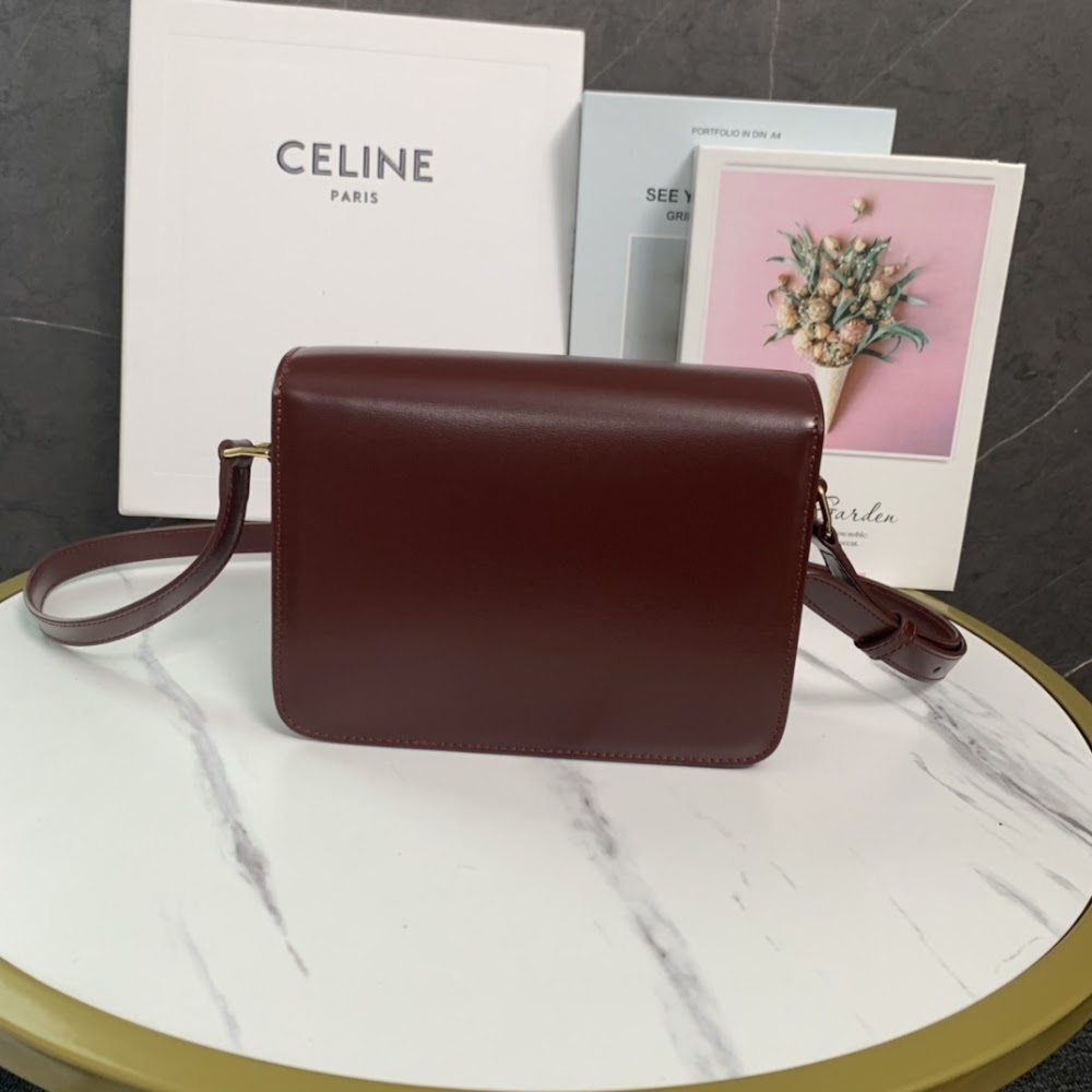 Anum Bags Celine Luxury Bag --111994