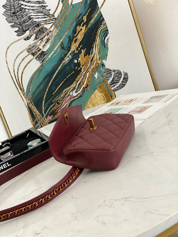 Anum Bags Detail