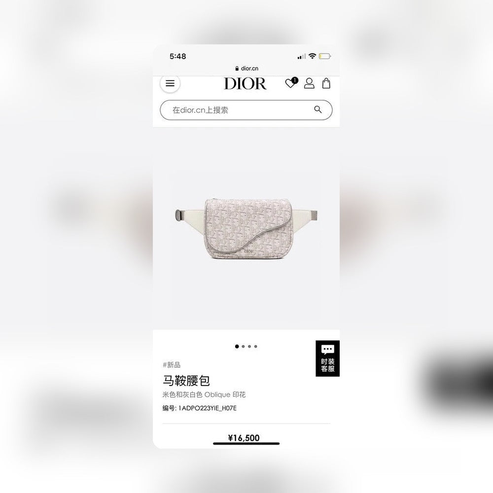 Anum Bags Detail