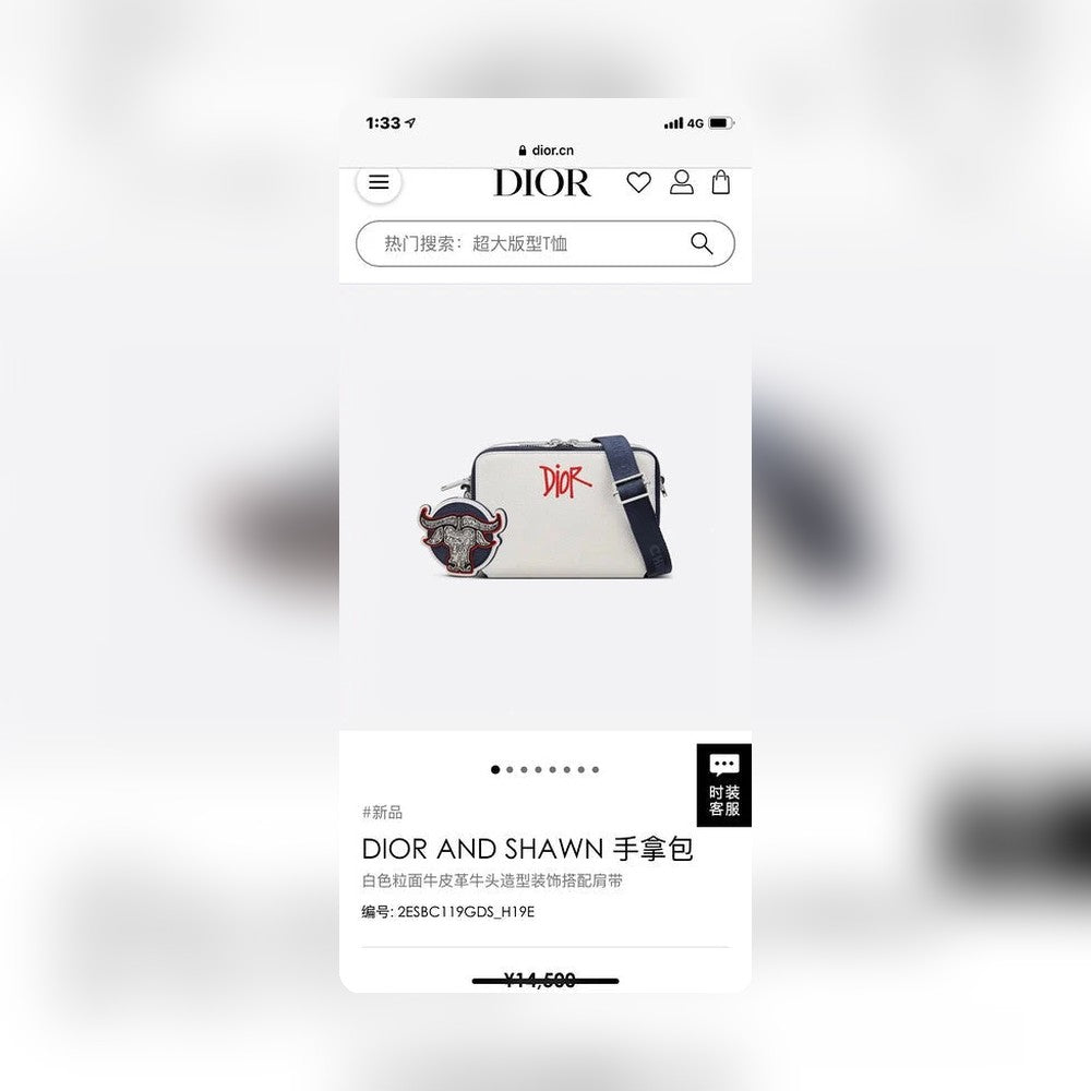 Anum Bags Detail