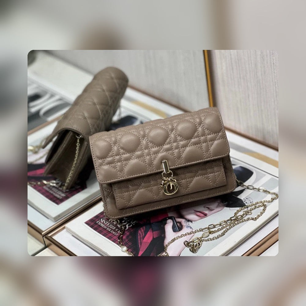 Anum Bags Detail
