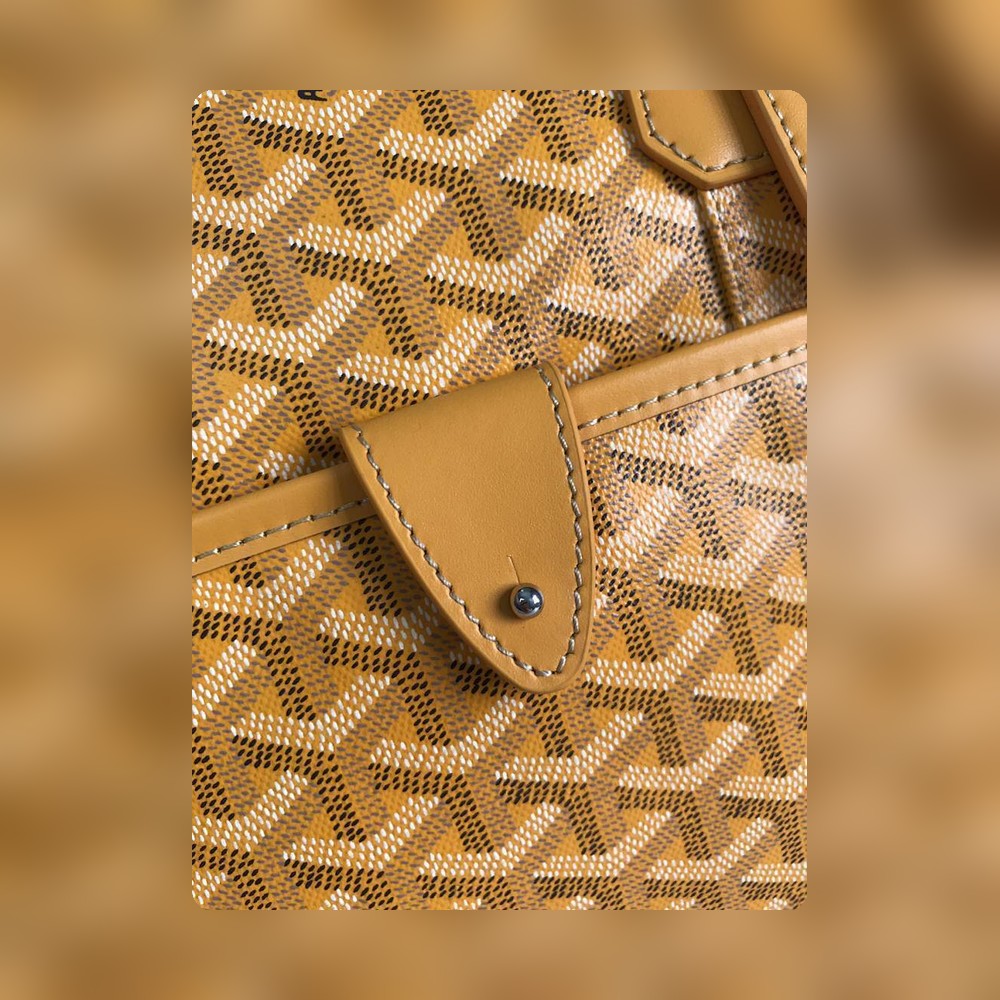Anum Bags - Premium Luxury Goods and Accessories - AFFORDABLE LUXURY BAGS - 19689