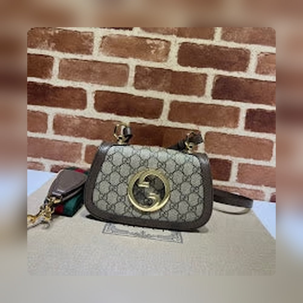 new-designer-premium-bags-nm8286