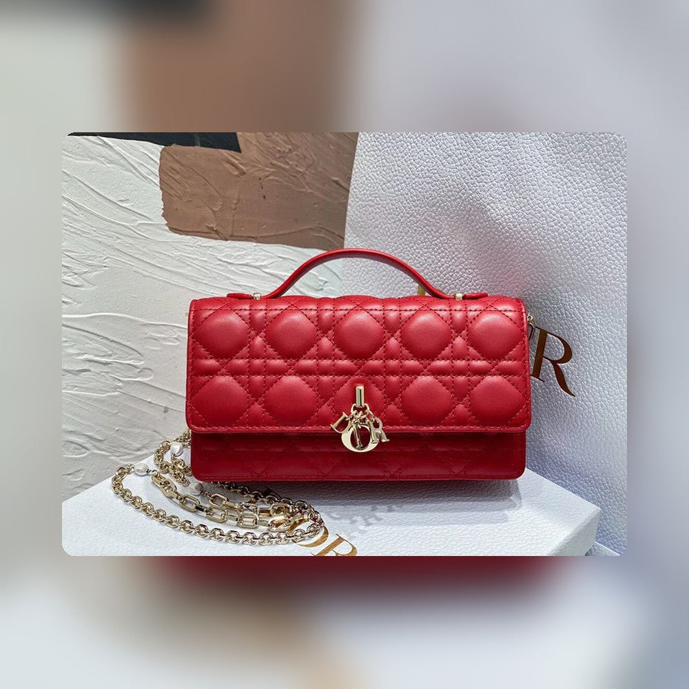 Anum Bags Detail