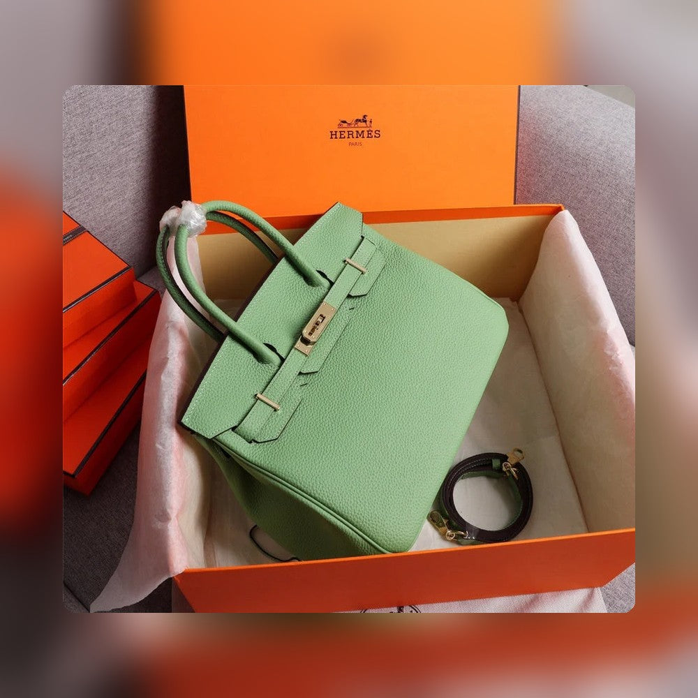 new-luxury-designer-bags-nm23598