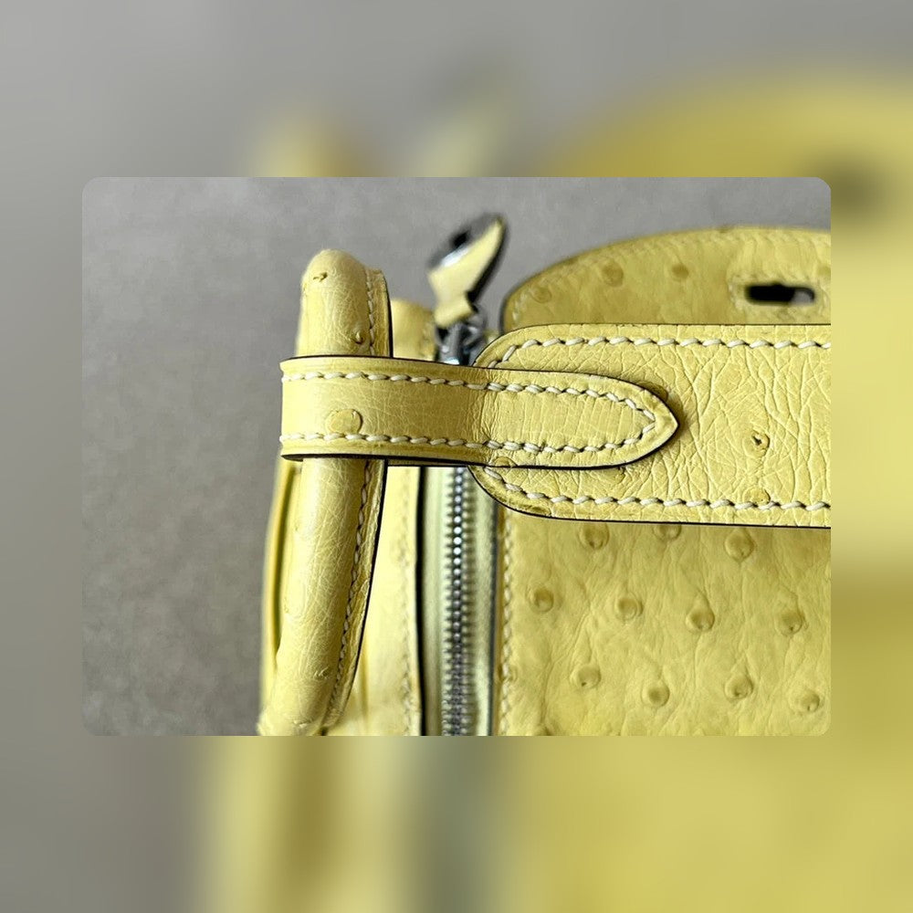 new-luxury-designer-bags-nm23885