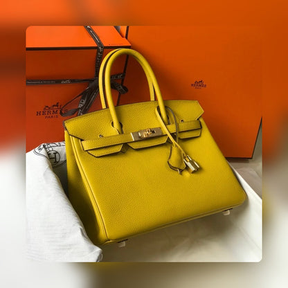 new-luxury-designer-bags-nm23783