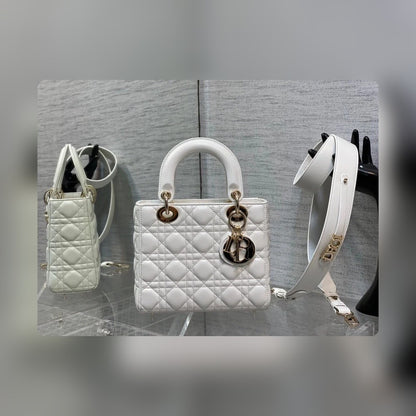 Anum Bags Detail