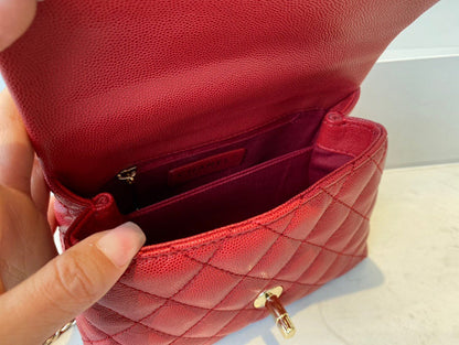 Anum Bags Detail