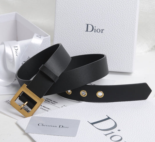 VBS -Luxury DIR BELTS 004