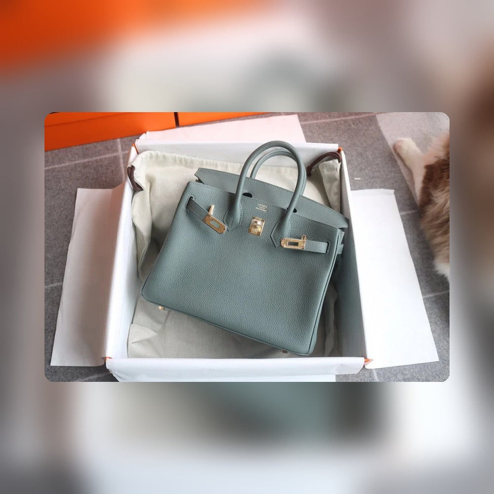 new-elite-designer-bags-nm23757