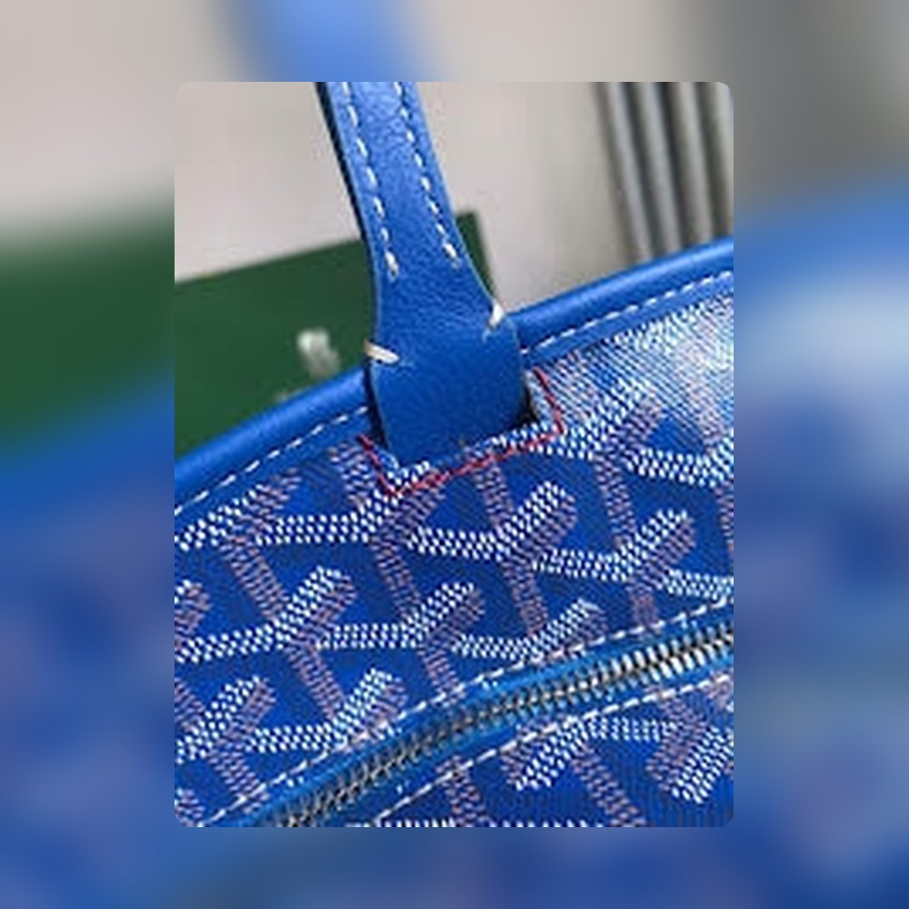 new-designer-premium-bags-nm8197