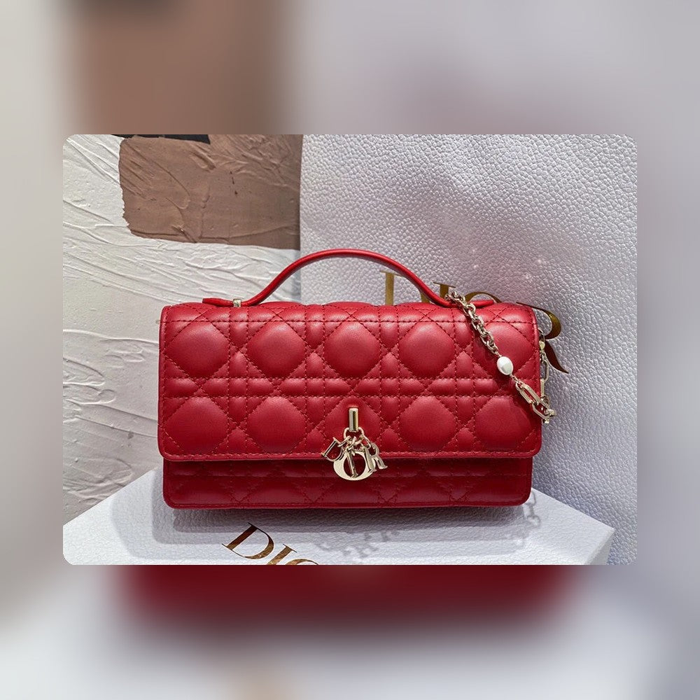 Anum Bags Detail