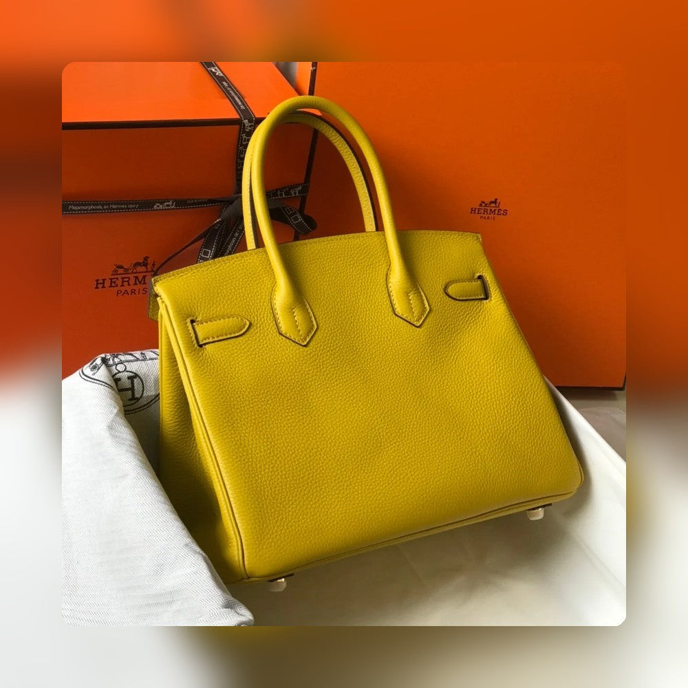 new-designer-premium-bags-nm23180