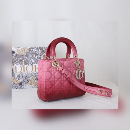 Anum Bags Detail