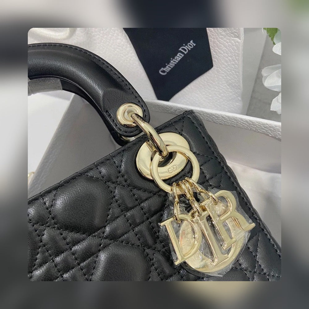 Anum Bags Detail