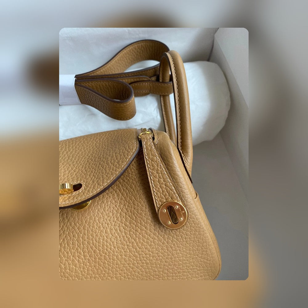 new-luxury-designer-bags-nm23035