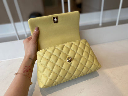 Anum Bags Detail