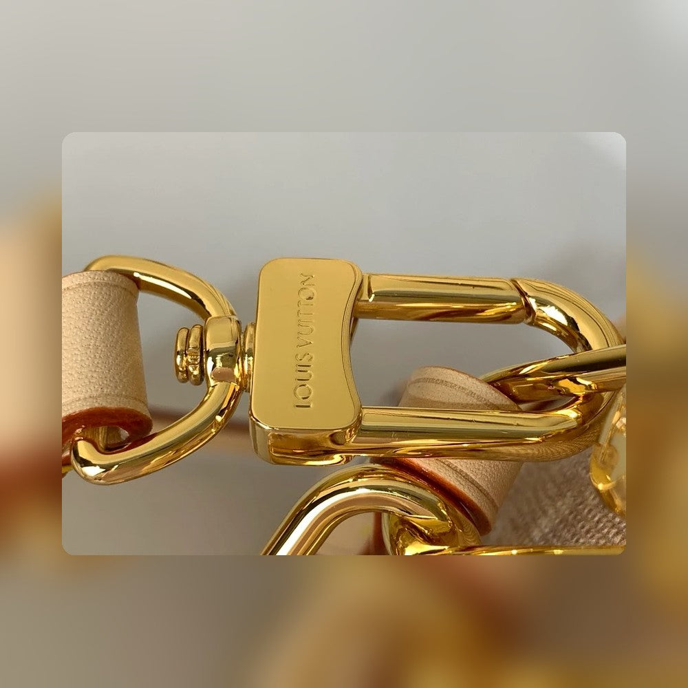 Anum Bags LV Luxury Bag --55956