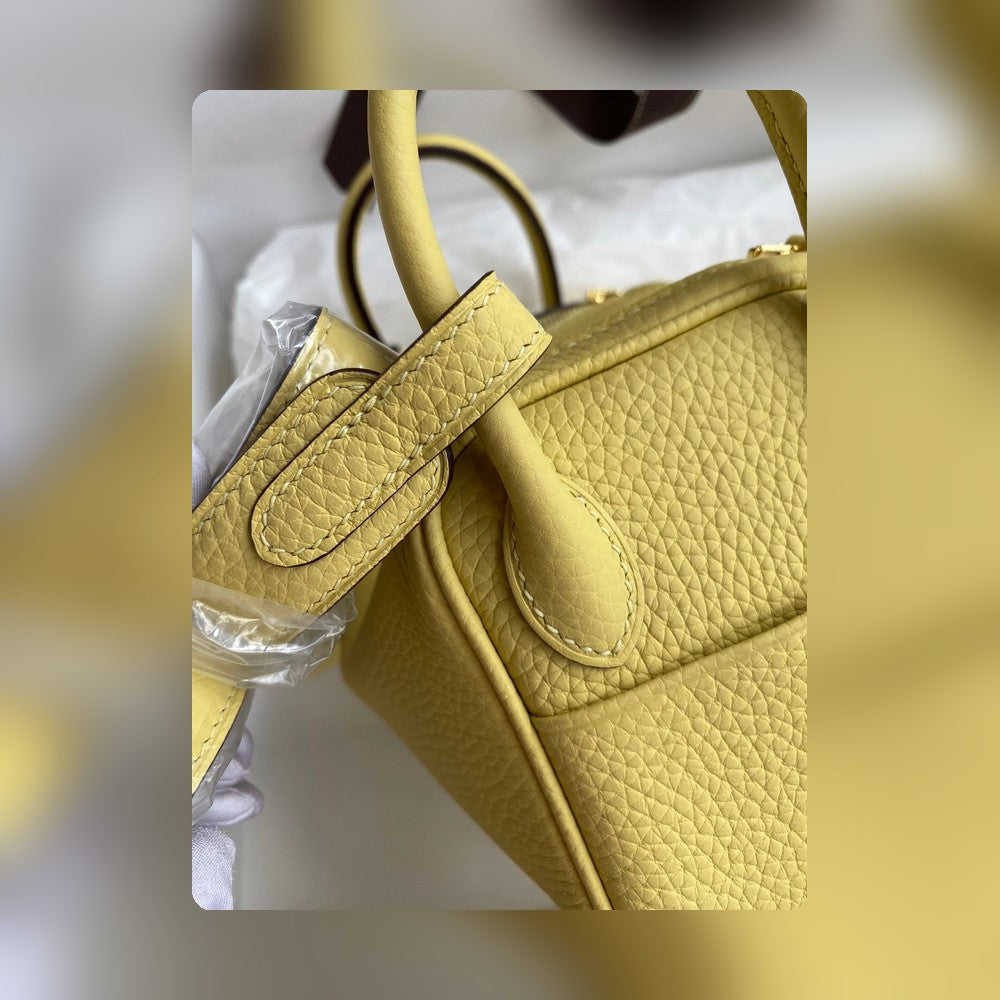 new-designer-premium-bags-nm23044