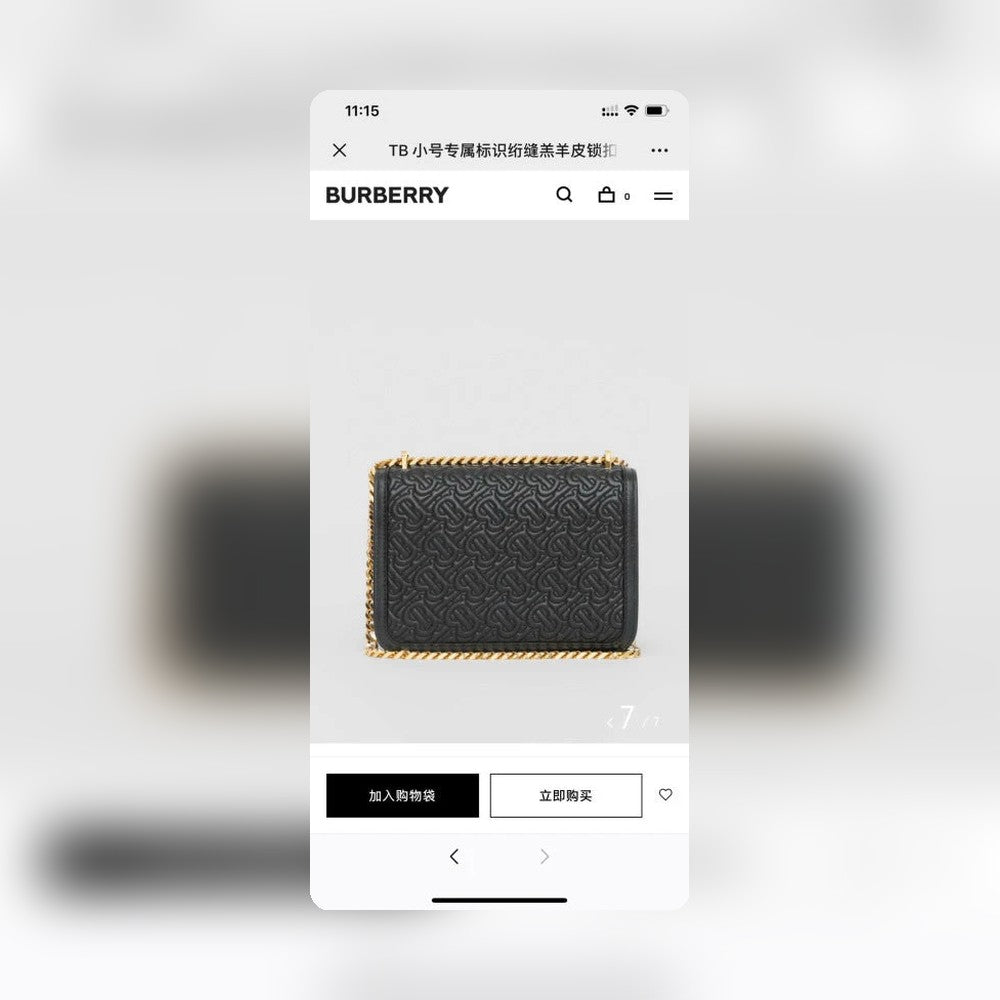 Anum Bags - Premium Luxury Goods and Accessories - AFFORDABLE LUXURY BAGS - 17261