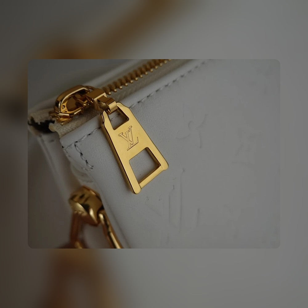Anum Bags ln Luxury Bag --56880