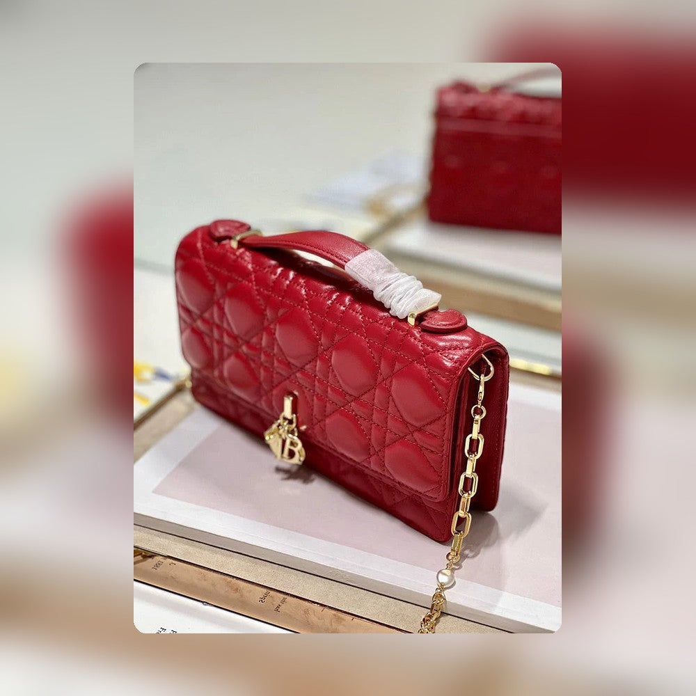 Anum Bags Detail