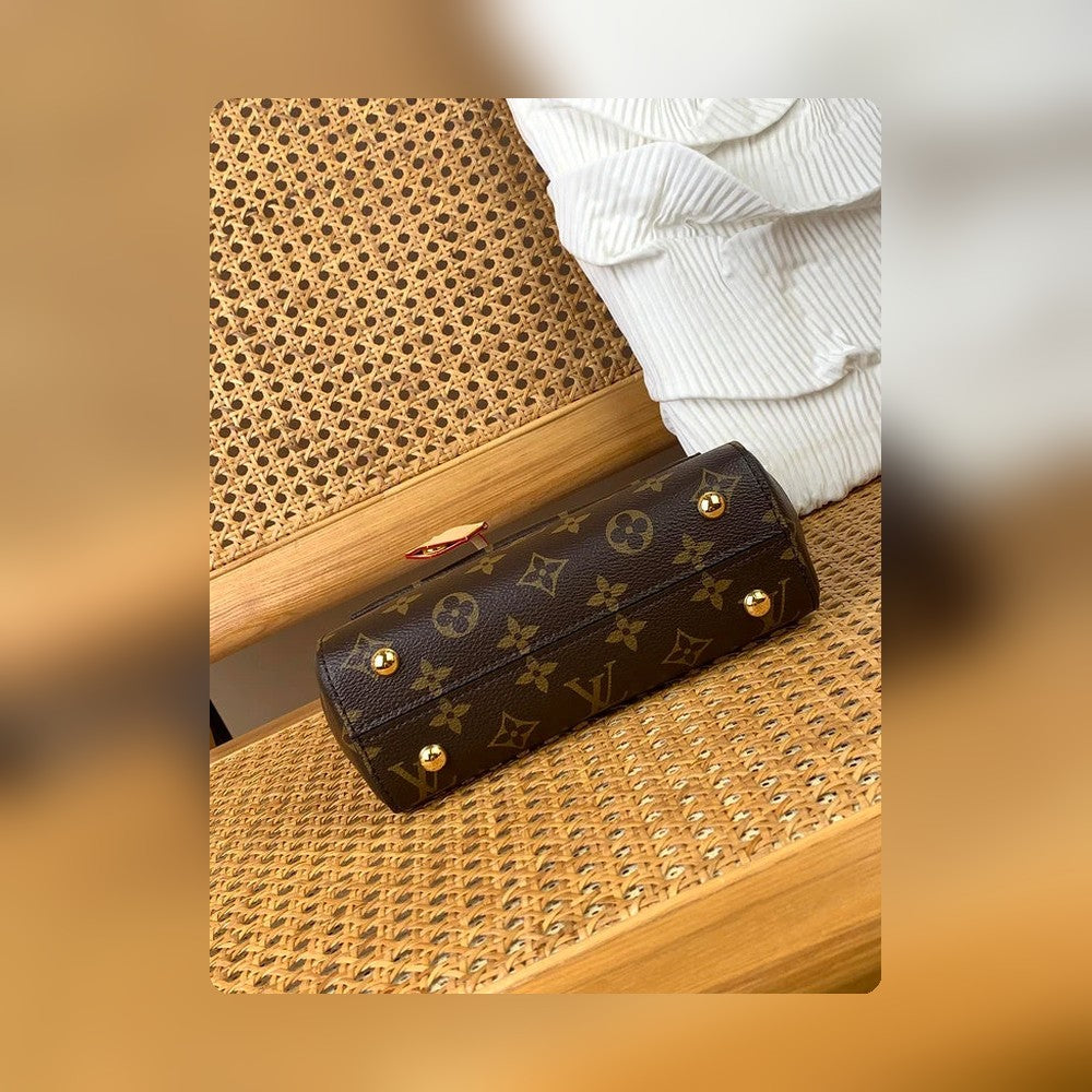 Anum Bags - Premium Luxury Goods and Accessories - AFFORDABLE LUXURY BAGS - 16593