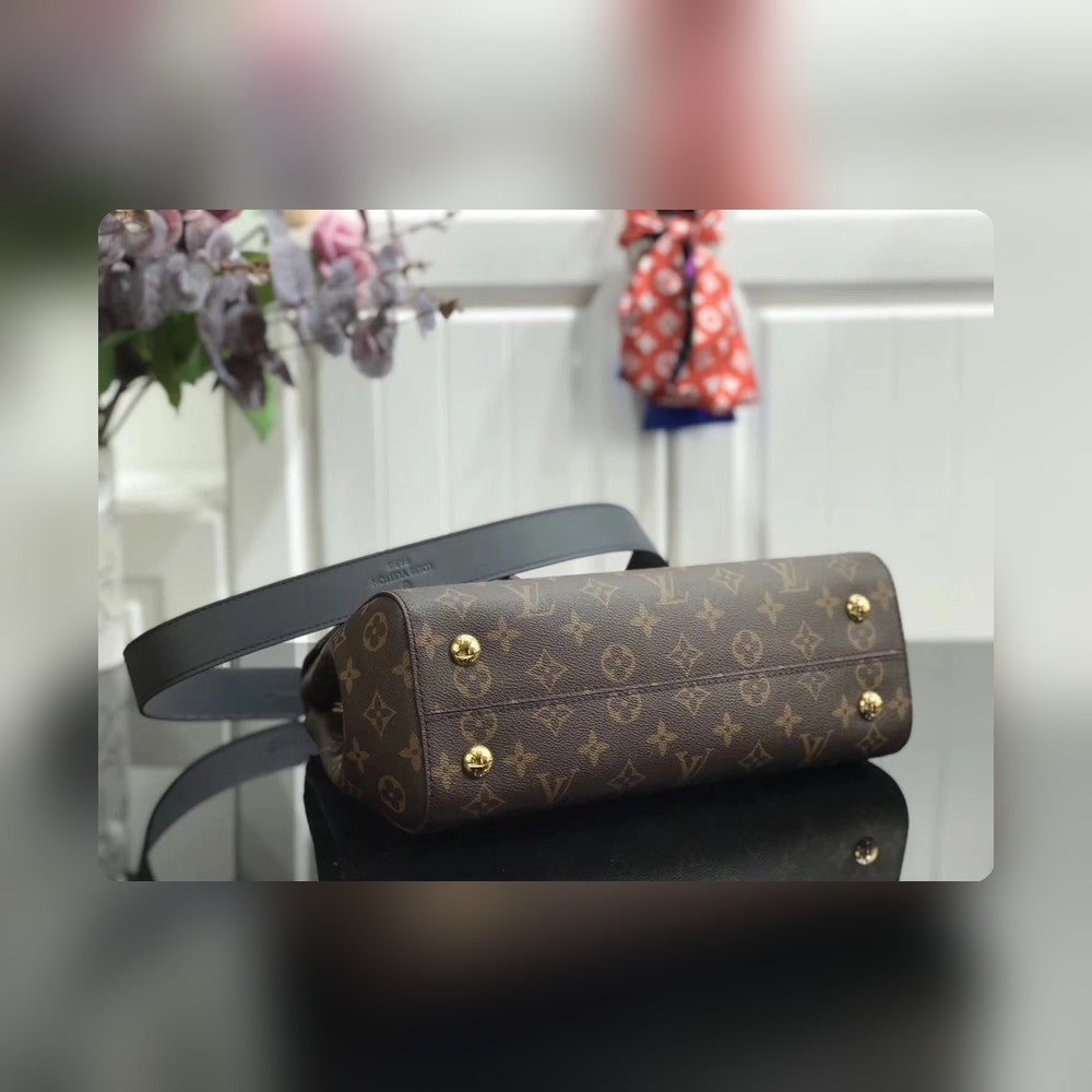 Anum Bags - Premium Luxury Goods and Accessories - AFFORDABLE LUXURY BAGS - 3998
